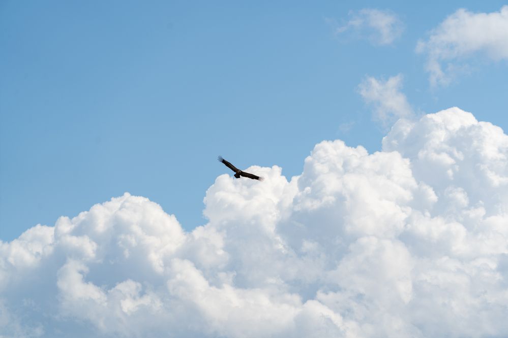 Photograph by Евгения Ковригина