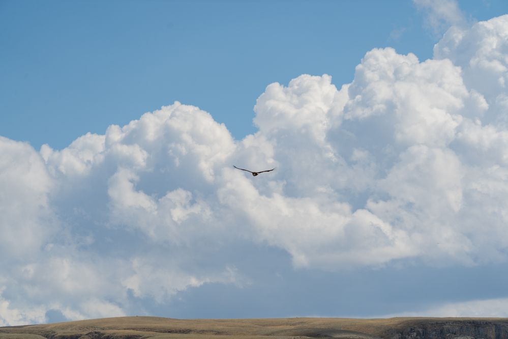 Photograph by Евгения Ковригина