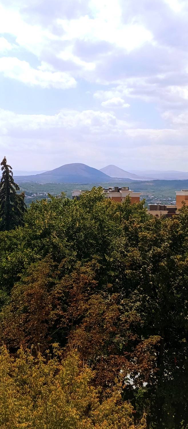 Photo #12541253