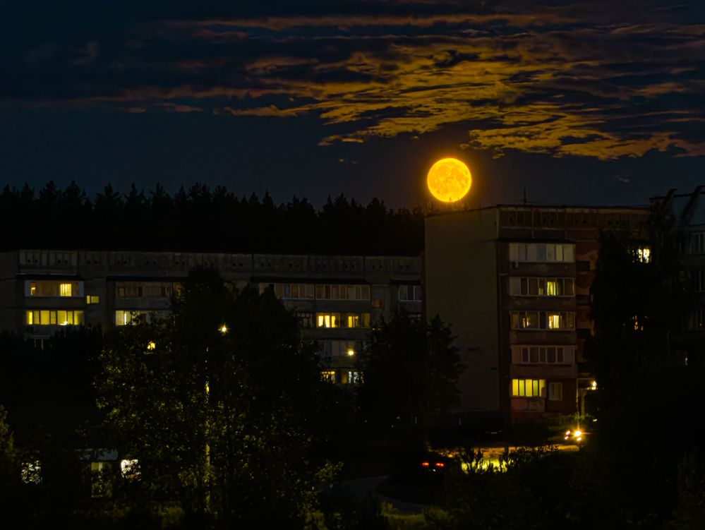 Photograph by Konstantin Martynov