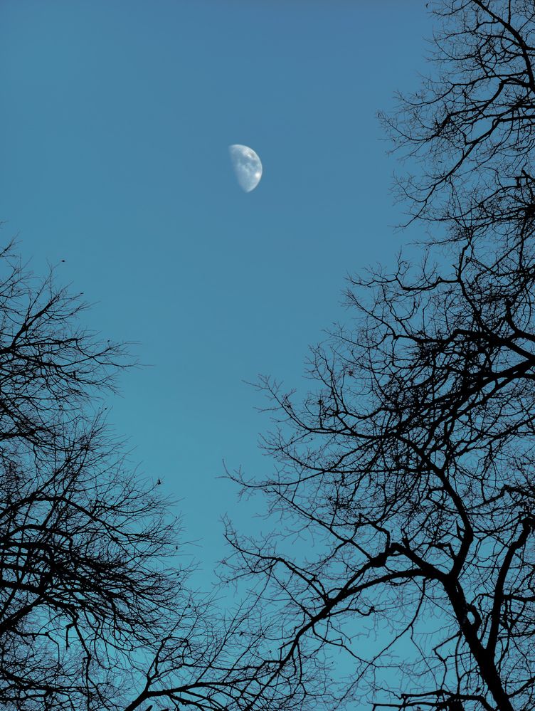 Photograph by Konstantin Martynov