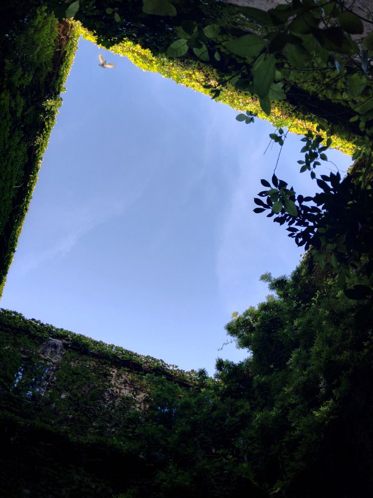 Photograph by WANDA OZIERANSKA