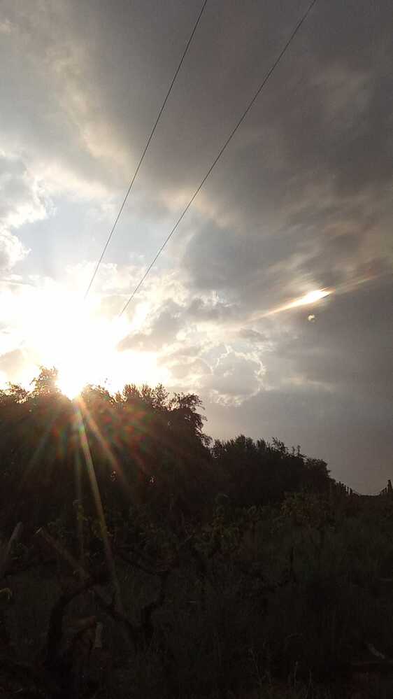 Photograph by othmen falhi