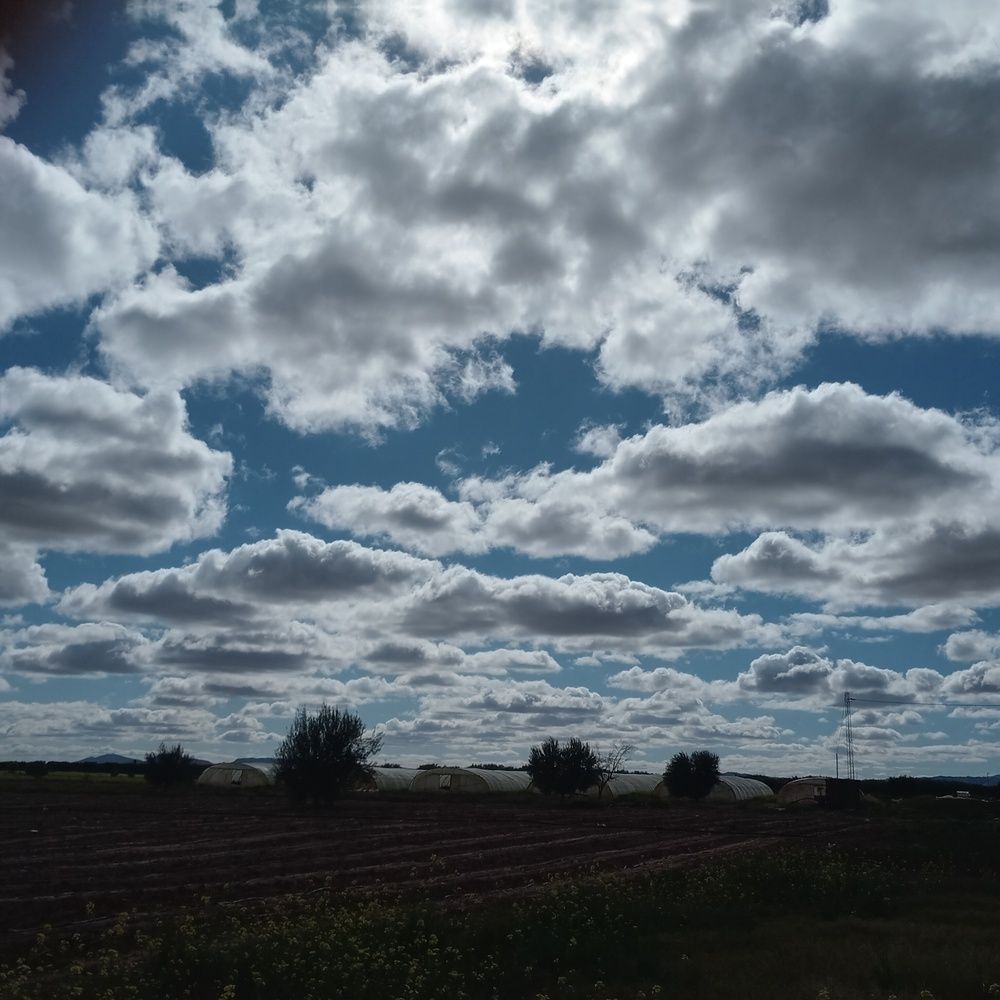 Photograph by othmen falhi