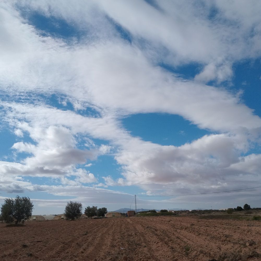 Photograph by othmen falhi