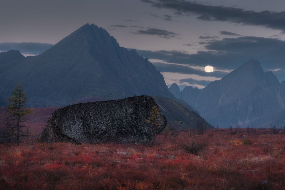 Photograph by Dmitry Medyancev