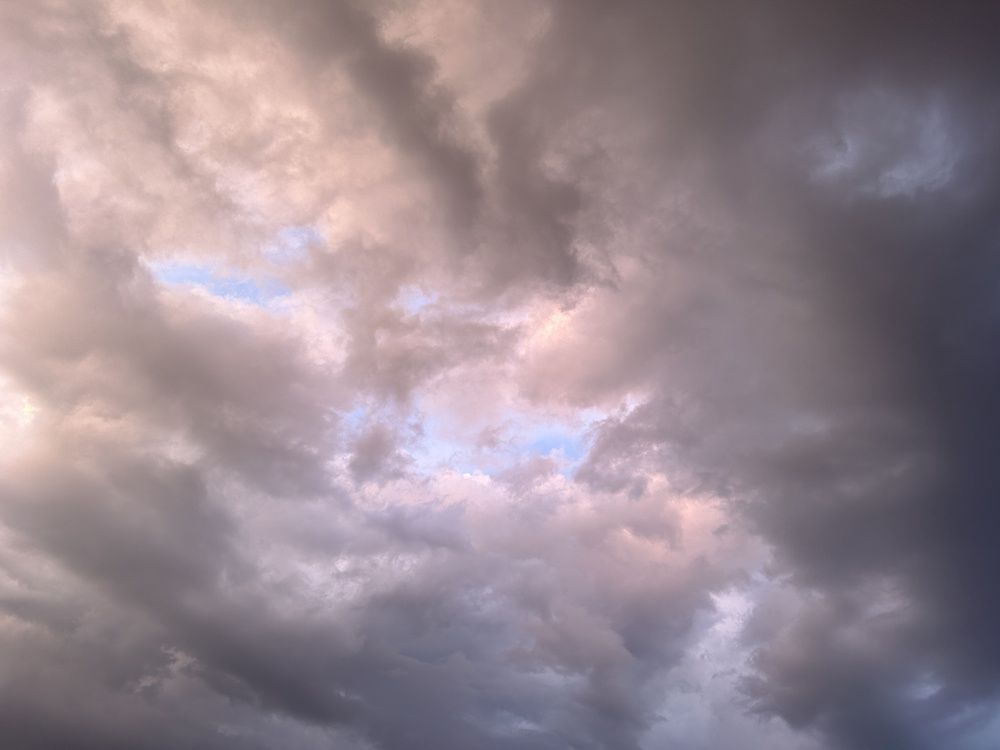 Photograph by Алина Логвиненко