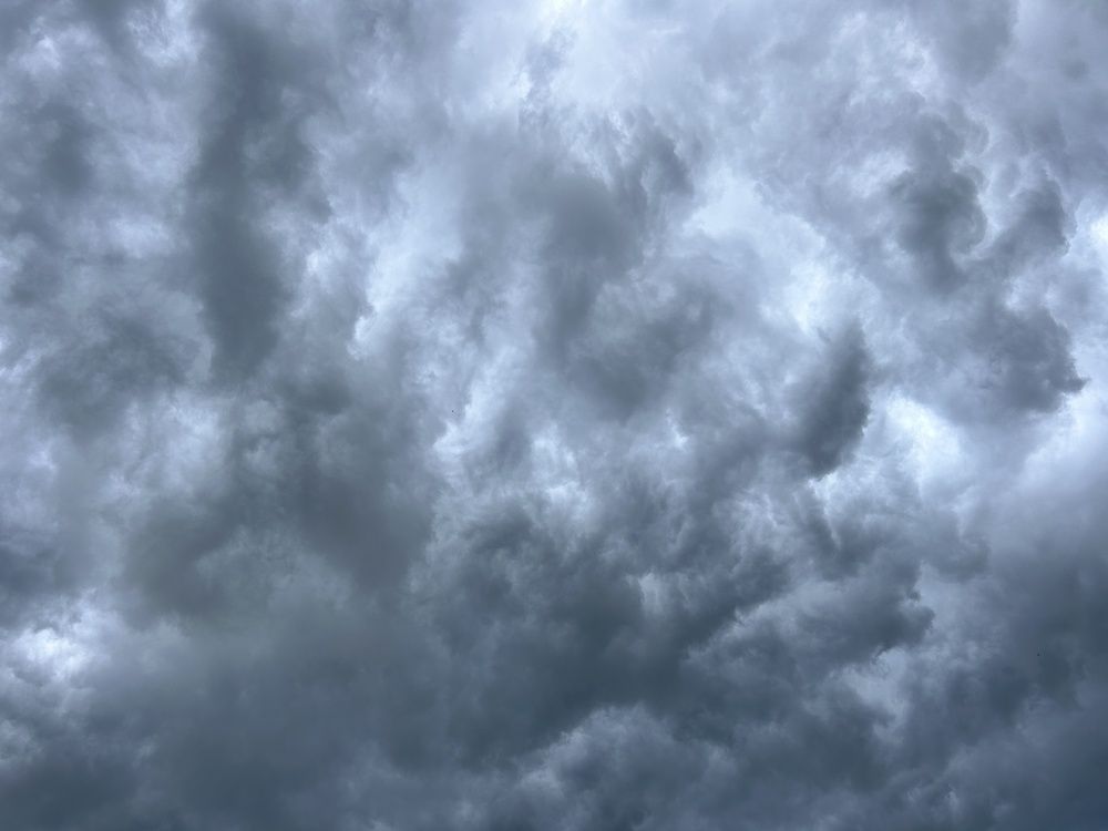 Photograph by Алина Логвиненко