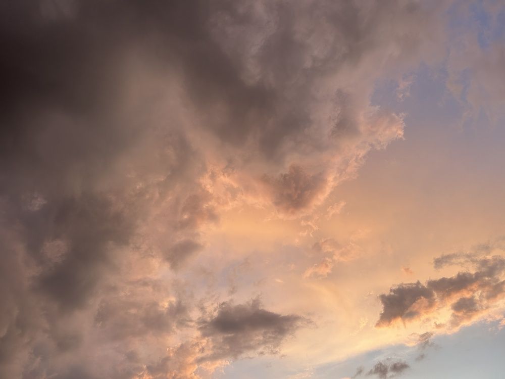 Photograph by Алина Логвиненко