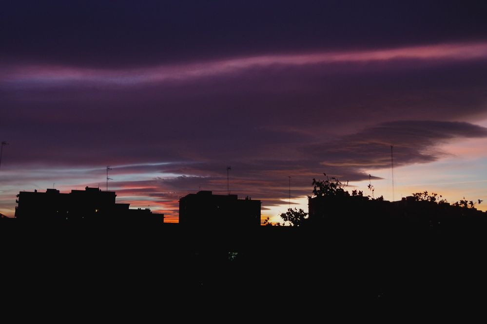 Photograph by Julia Smilovitsky