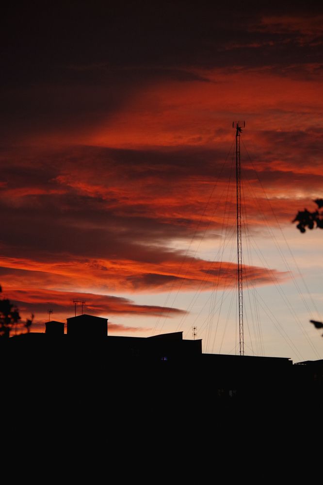 Photograph by Julia Smilovitsky