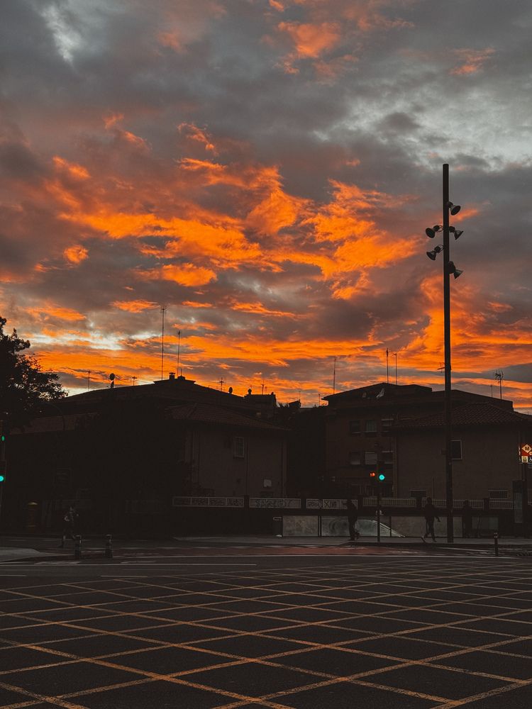 Photograph by Julia Smilovitsky