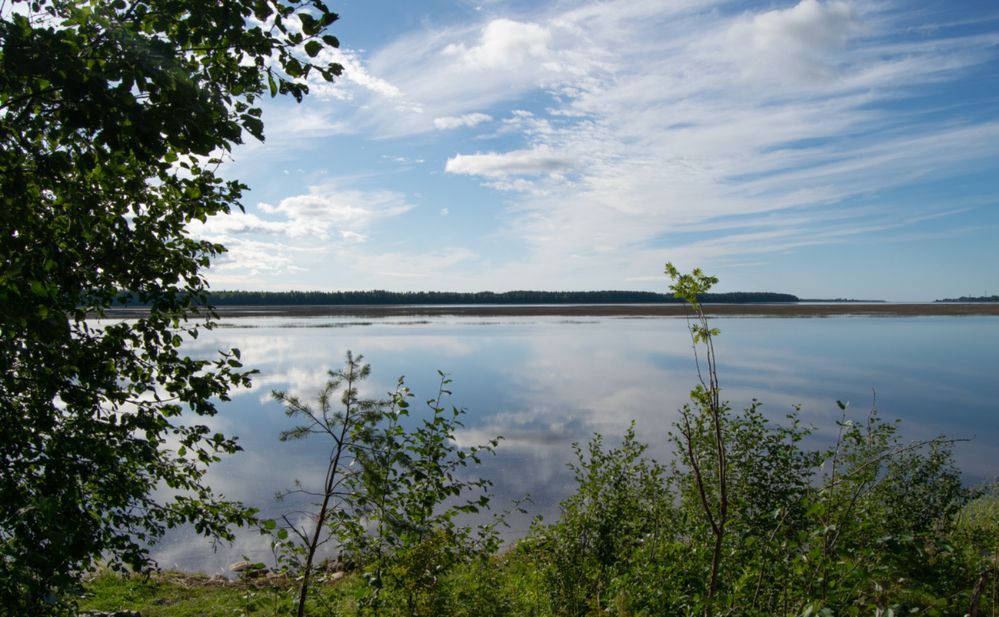 Photograph by Марина Никулина