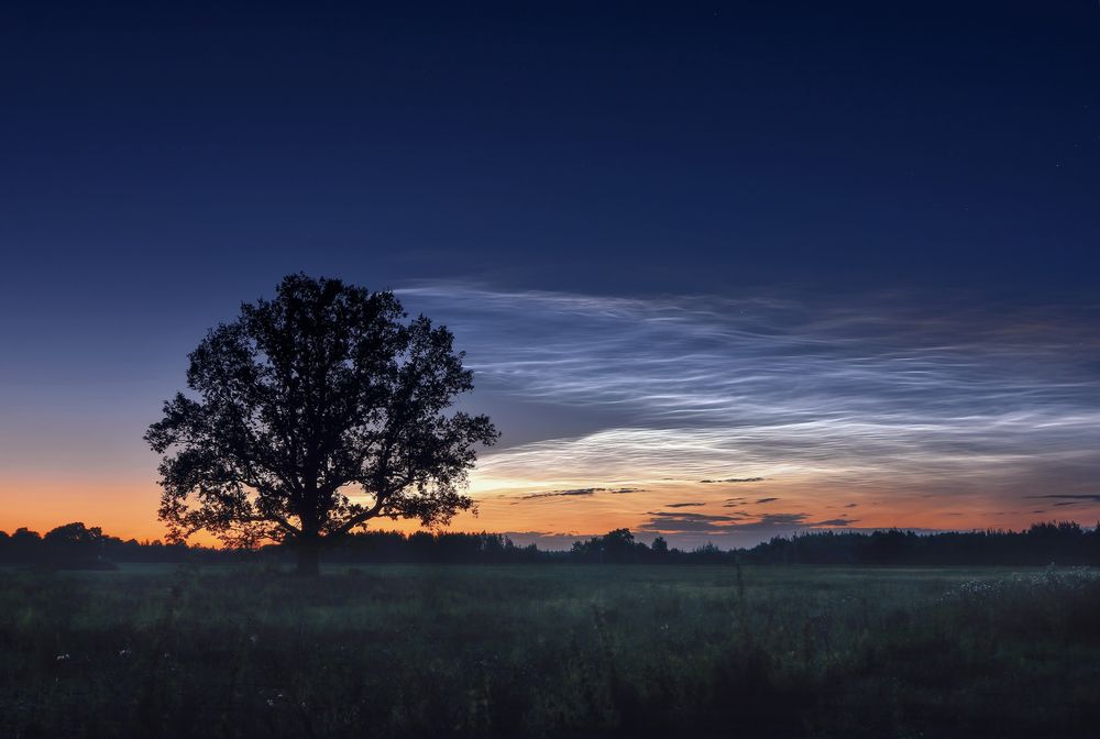 Фотография автора Andrew Kuzmin