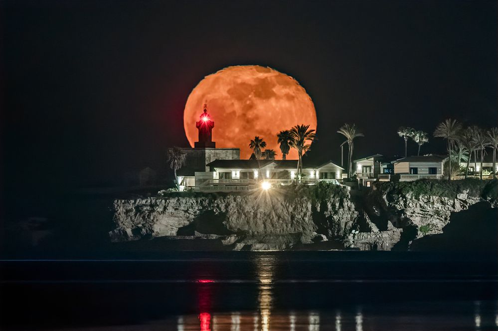 Photograph by Massimo Tamajo