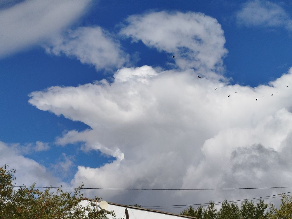Photograph by Ирина Любимова