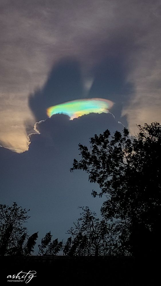 Photograph by Ashit Gandhi