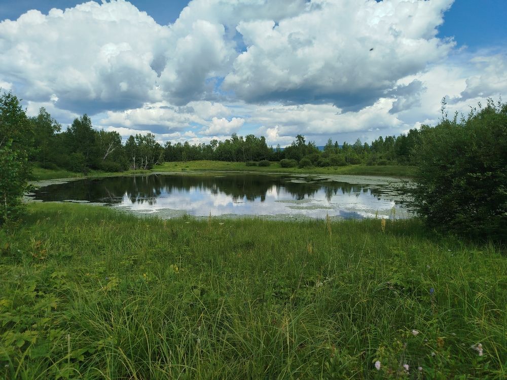 Photo #12541749