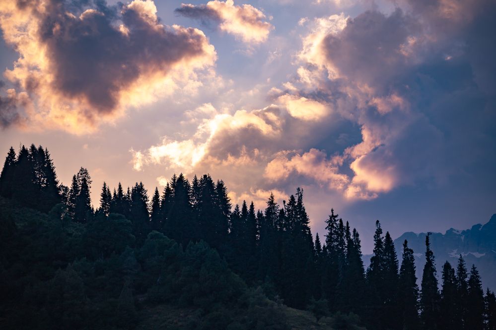 Photograph by Василий Бережной