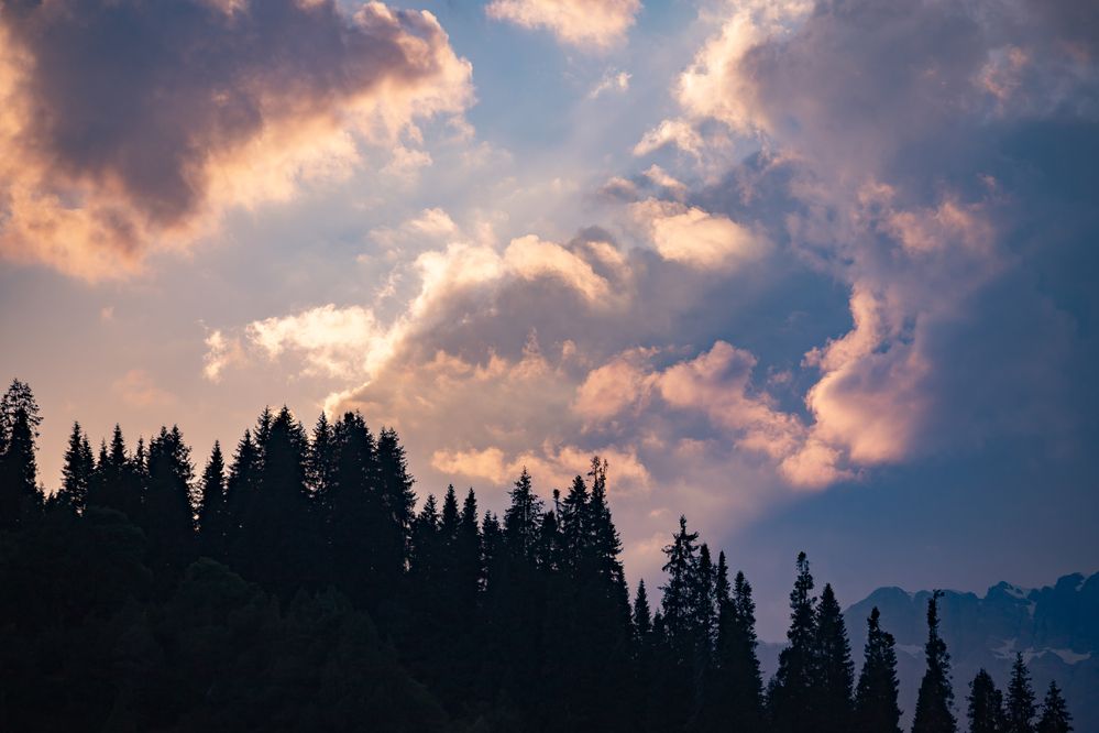 Photograph by Василий Бережной