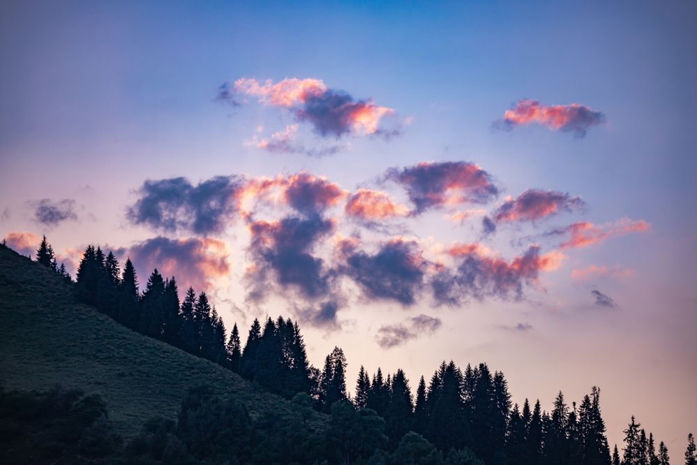 Photograph by Василий Бережной