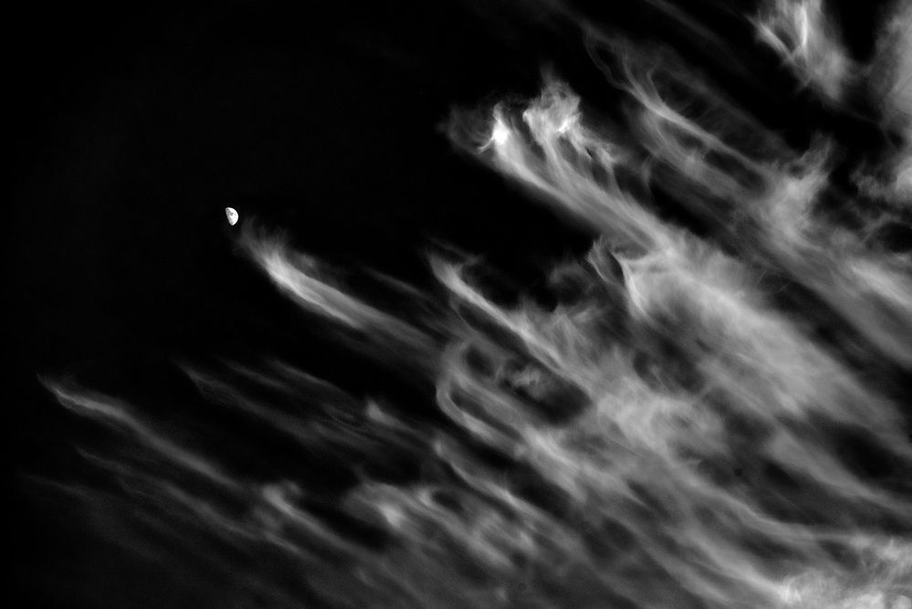 вдогонку за луной...