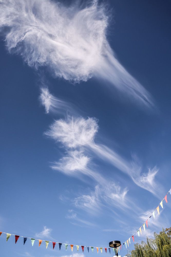 Photograph by Ольга Солодова