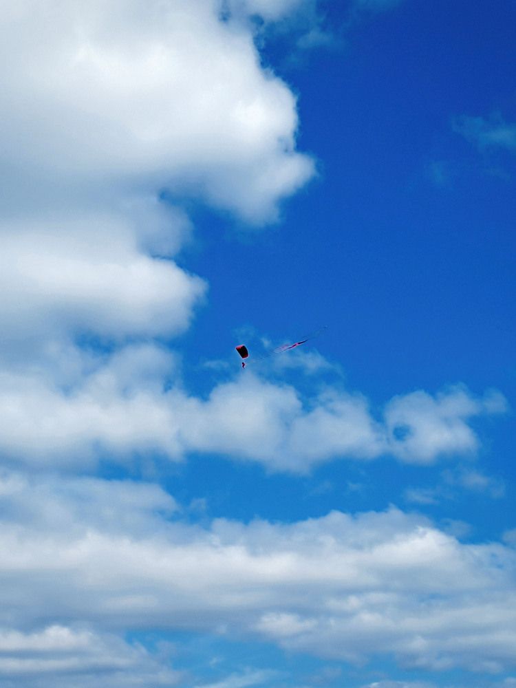 Photograph by Диана Токаревич