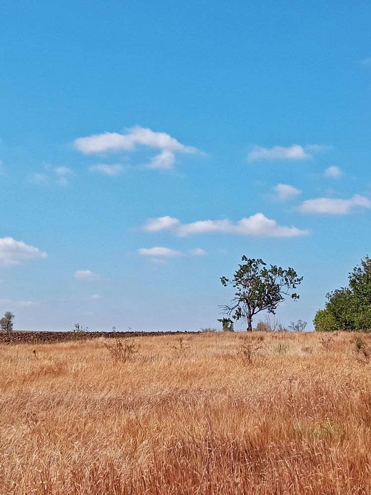 Photograph by Светлана Смирнова