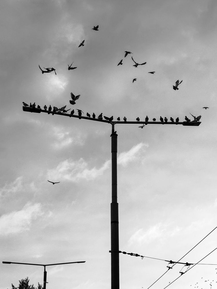 Фотография автора Sheikh Masud