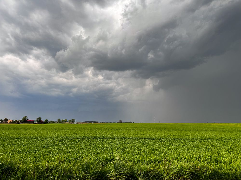 মেঘ বলেছে যাবো যাবো