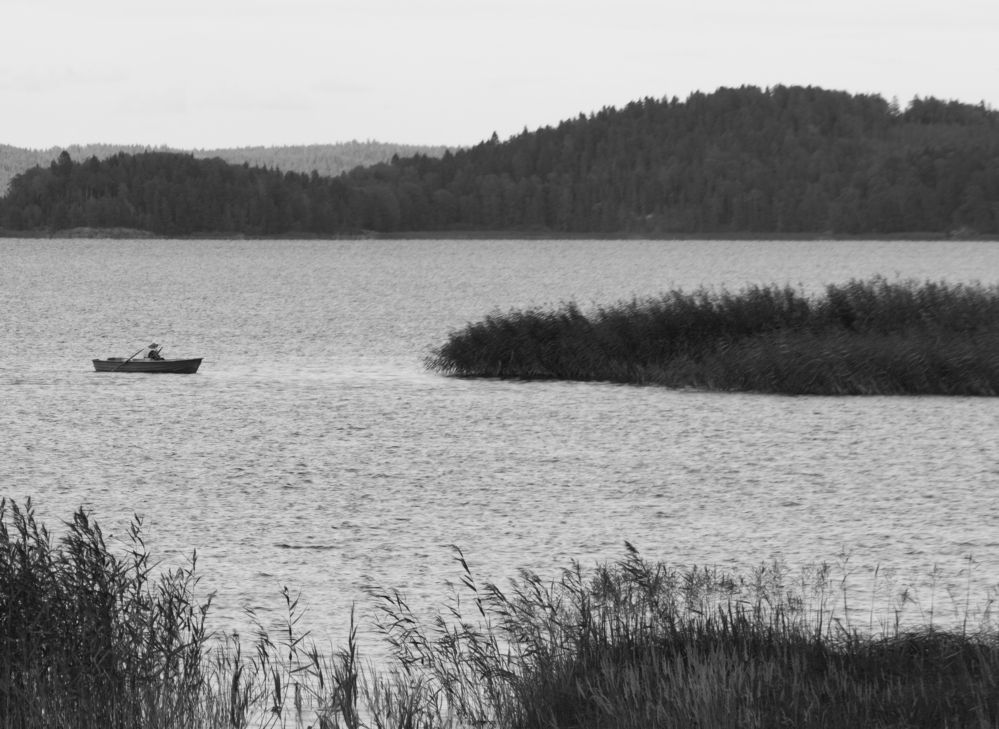 Photo #12541854