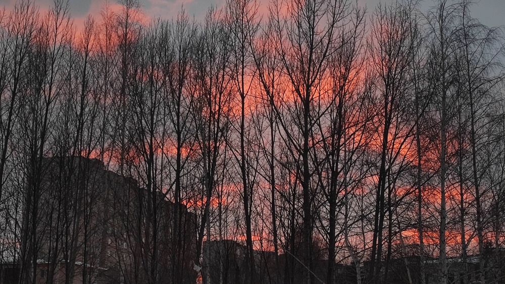 Photograph by Виктория Мамлеева