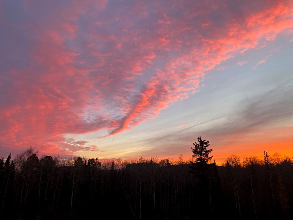 Photograph by Анастасия Чушкова