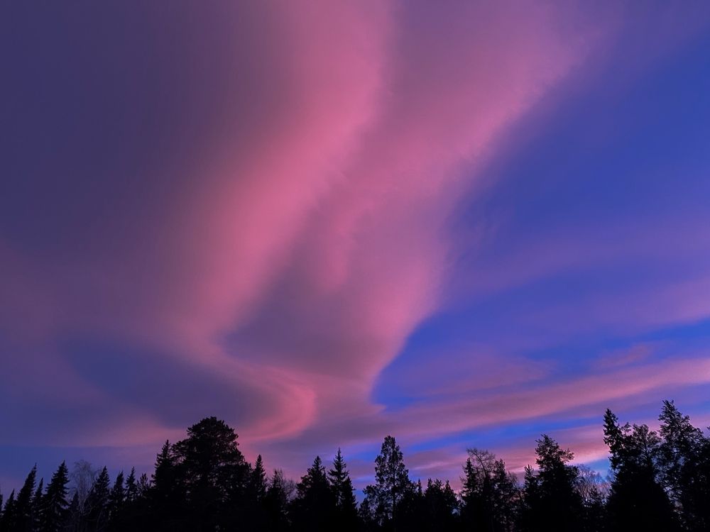 Photograph by Анастасия Чушкова