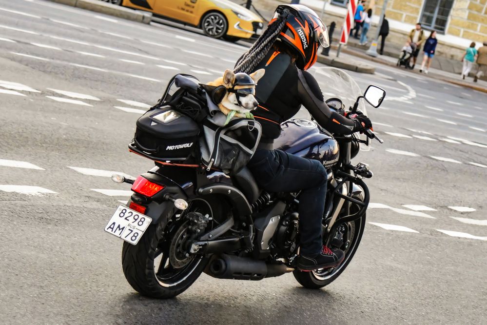 Photograph by Екатерина Абросова