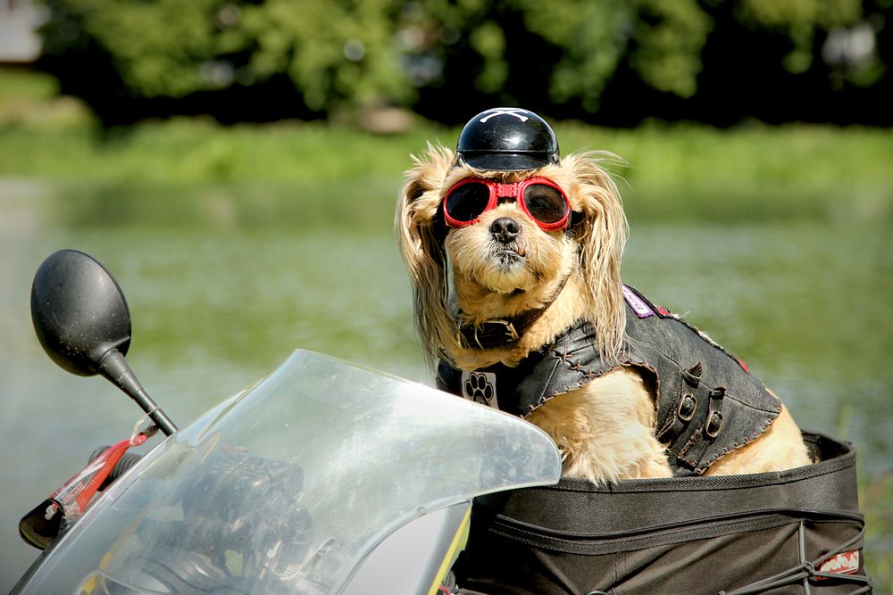 Photograph by Шруб (Беляева) Татьяна