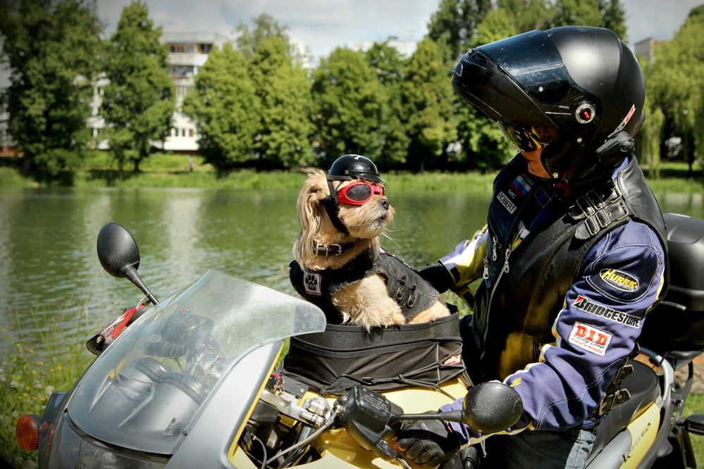 Photograph by Шруб (Беляева) Татьяна