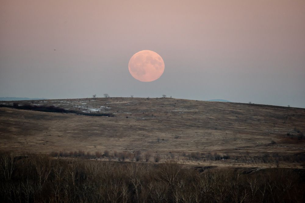 Photograph by Семенов Александр