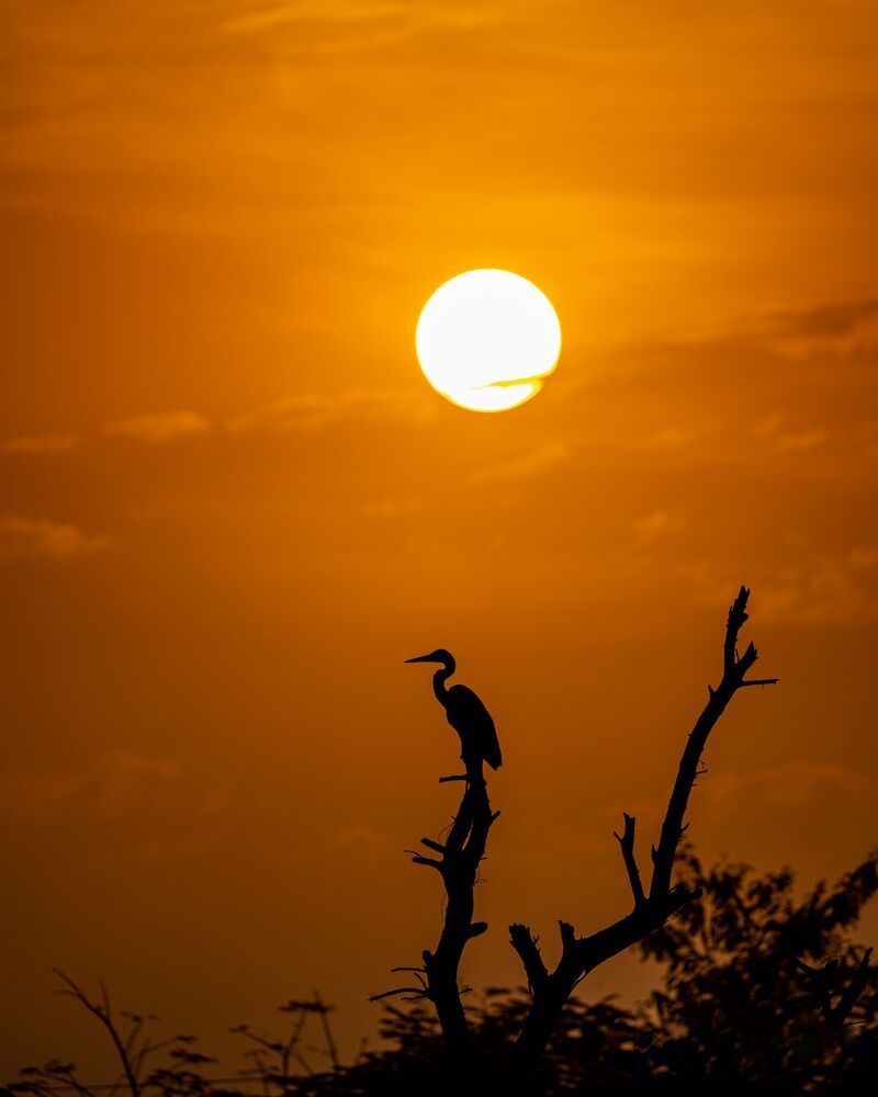 Photograph by mahadevan Arige