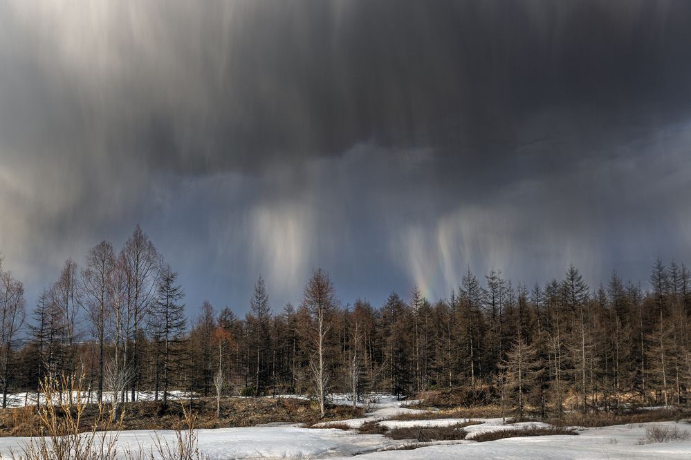 Photograph by Светлана Гореликова