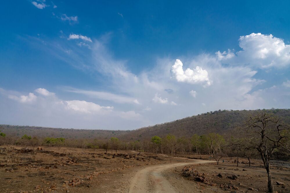 Photograph by mahadevan Arige