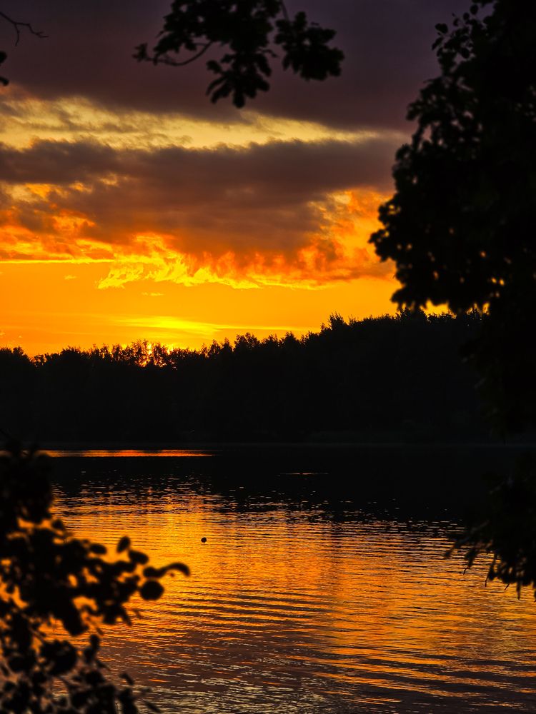 Photograph by Татьяна Гуцанович