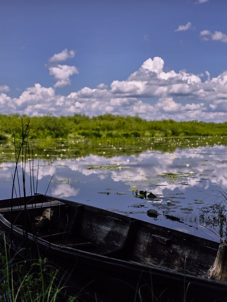 Photograph by Татьяна Гуцанович