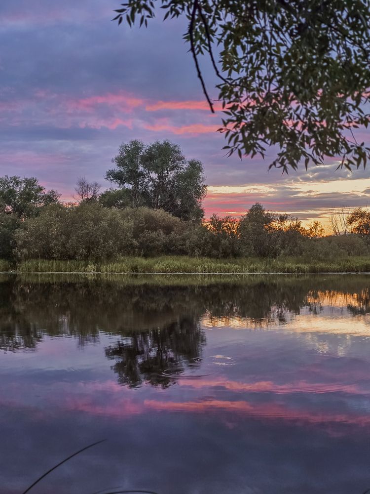 Photograph by Татьяна Гуцанович