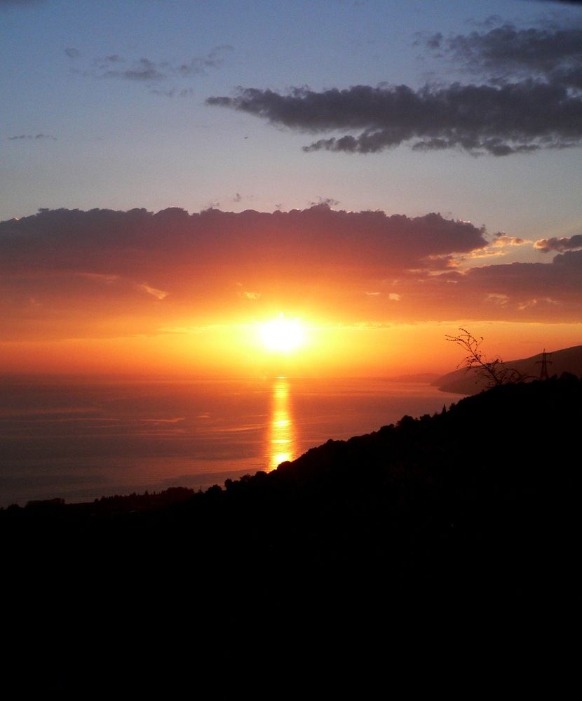 Photo #12542075
