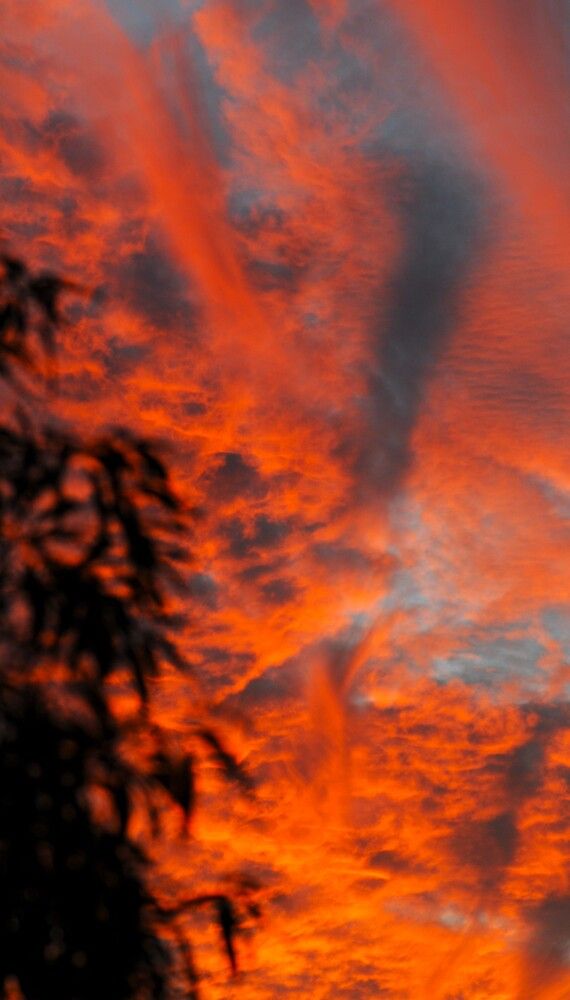 Фотография автора Ася Бабушкина