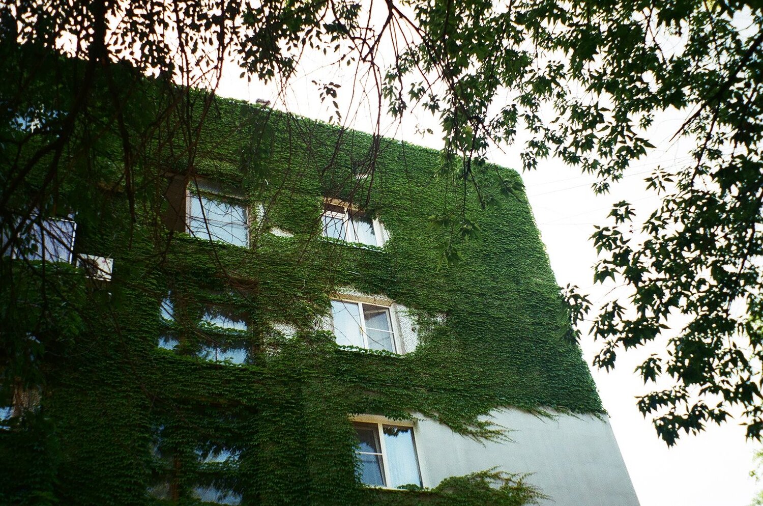 Photo #12542137