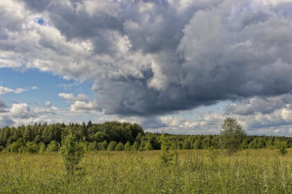 Photograph by Анатолий Чесноков