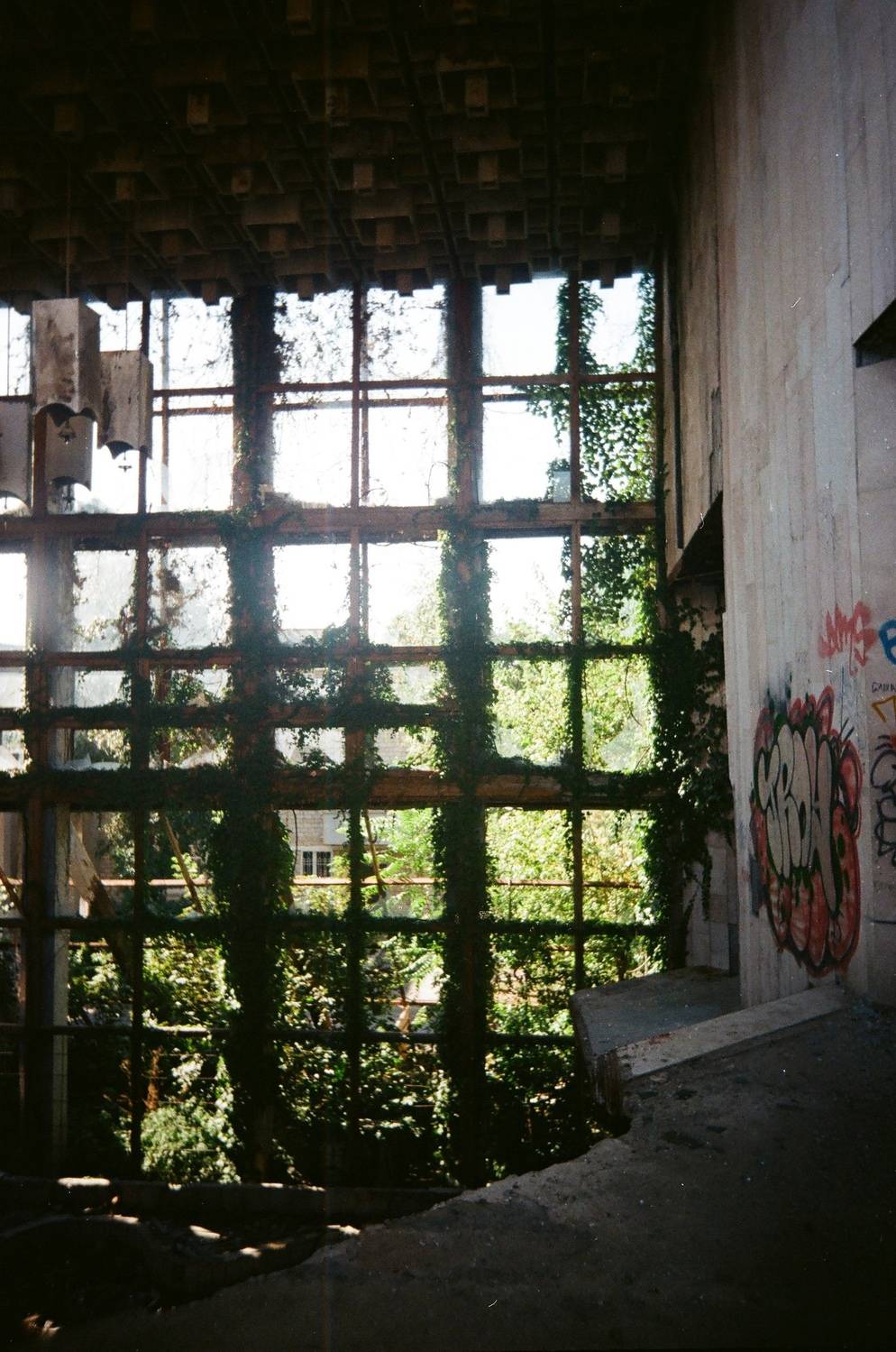Photo #12542157